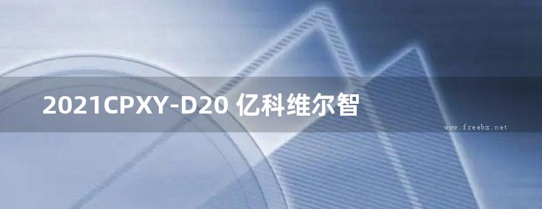 2021CPXY-D20 亿科维尔智能控制系统